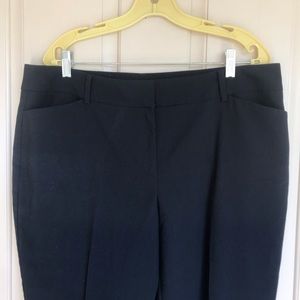 Ann Taylor Navy Blue Slacks